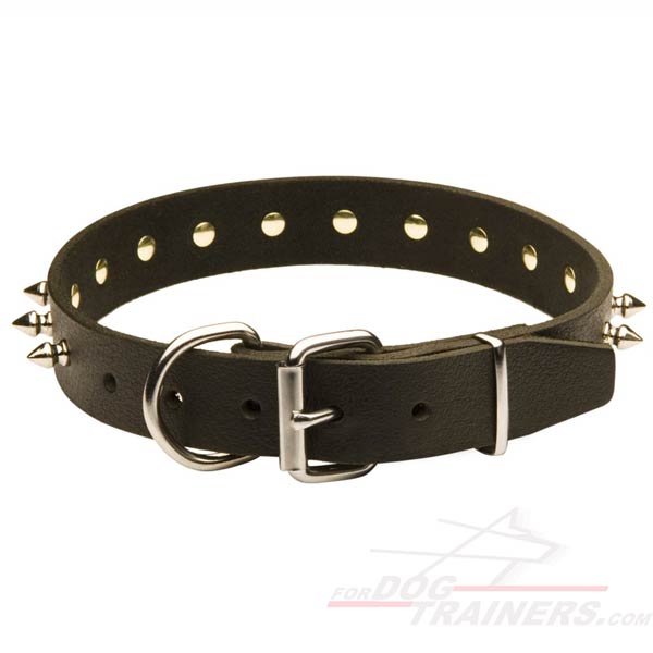 Black Leather Dog Collar