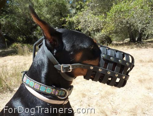 Quality leather muzzle