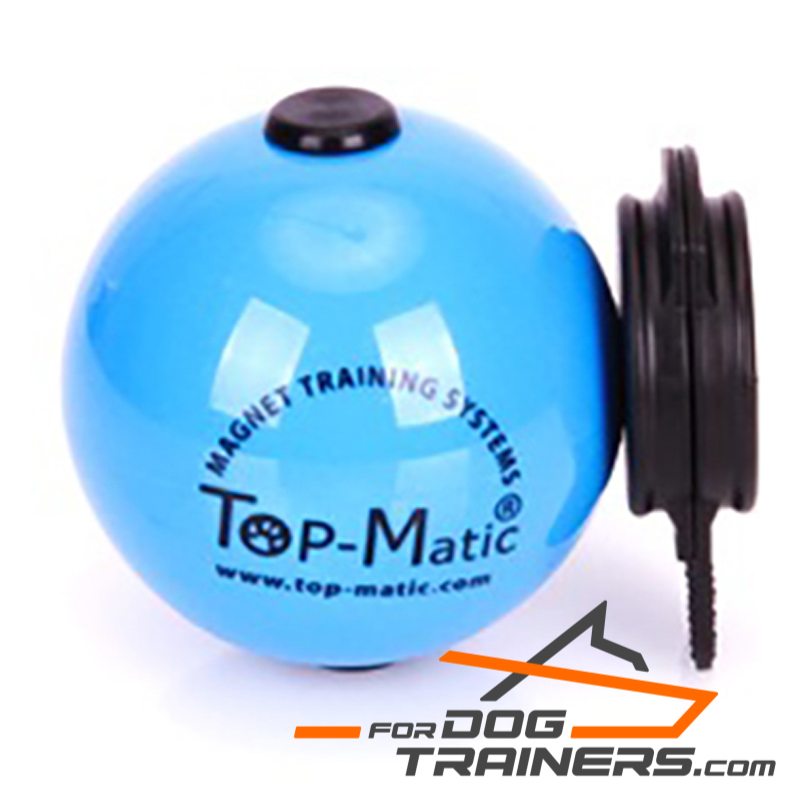 Super Blue Magnetic Ball for Perfect Training Super Blue Magnetic Ball for Perfect Training