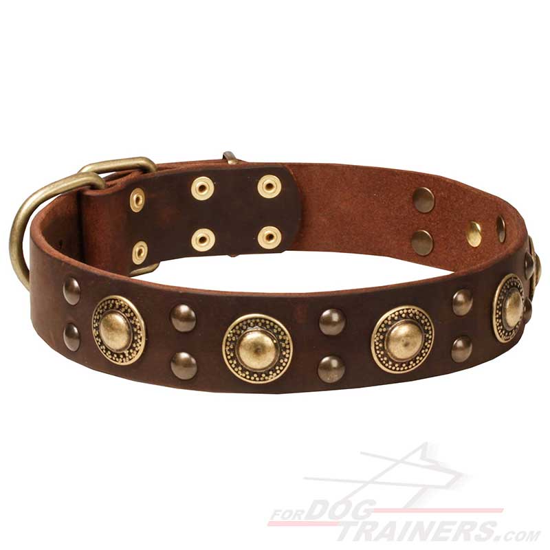 Get Luxury Dog CollarLeather Collars for Stylish Walk