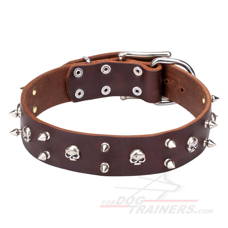 Pirate Dog Collar 