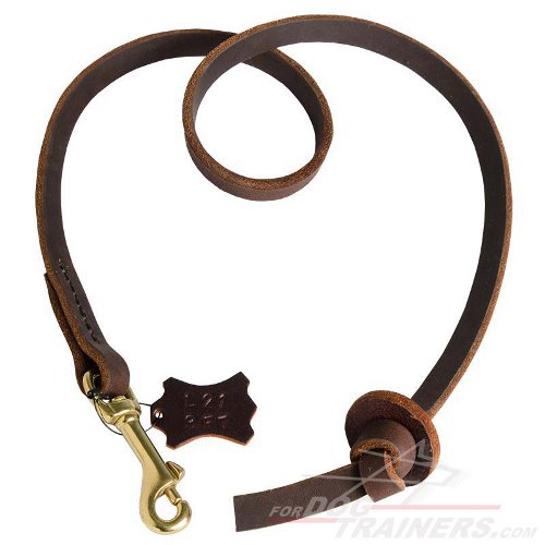 Extra Durable Leather Pull Tab Dog Leash