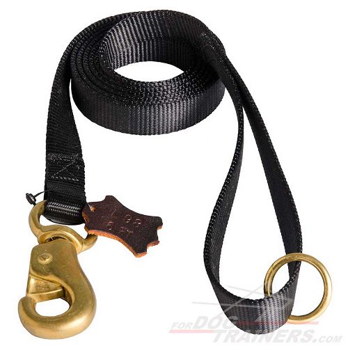 Nylon Dog Leash for Tracking and Training