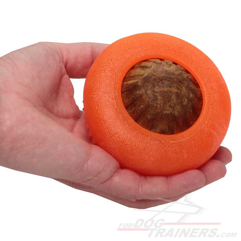 Best dog treat dispenser toy to challenge and reward