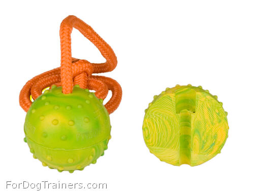 2 1/3 inch (6 cm) Dog training/Reward BALL on string made of High Quality  Solid rubber - TT1 Medium [TT1##1037 (2 1/3 inch) Solid Dog training toy  with handle] : Exclusive Dog