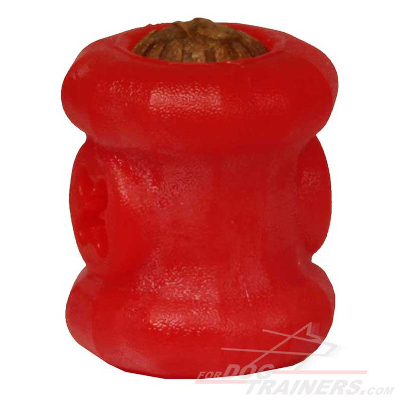 Order now dog chew treat dispenser for your Pitbull