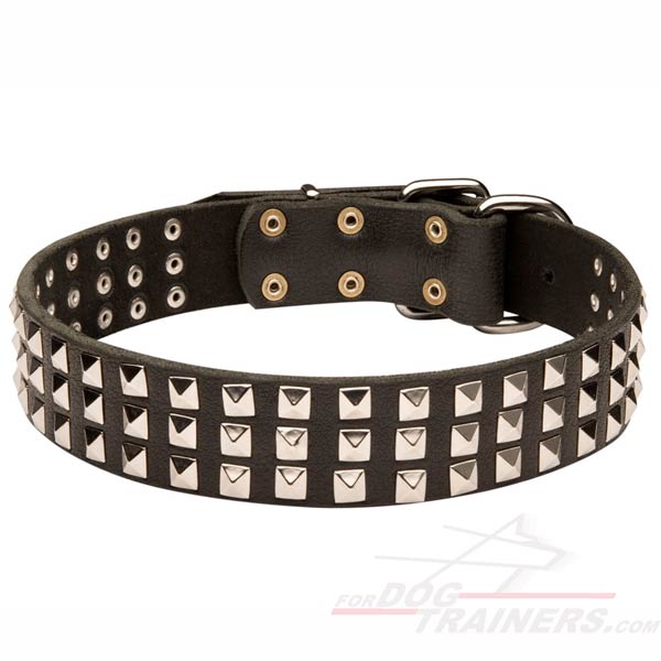 Leather Wide Dog Collar for Cane Corso