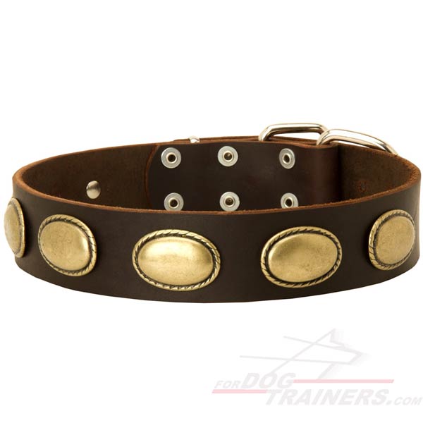 Cane Corso New Leather Dog Collar with plates