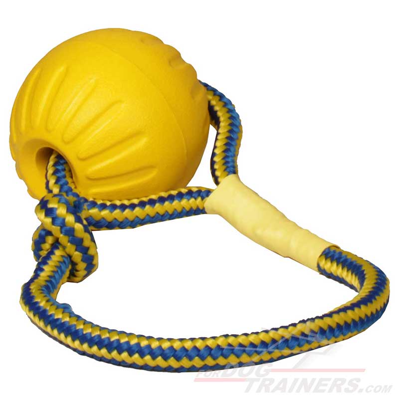 Pet Rope Training Ball