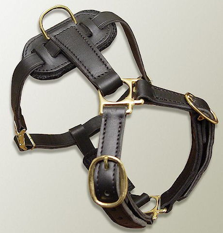 leather dog harness for all breeds