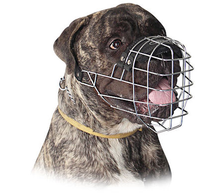 Genuine Wire Large Dog Bullmastiff Muzzle-Big Basket Dog Muzzle