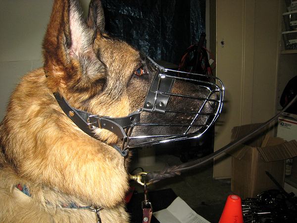 italian basket muzzle for dogs
