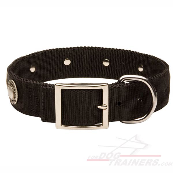 Super Reliable Nylon Dog Collar