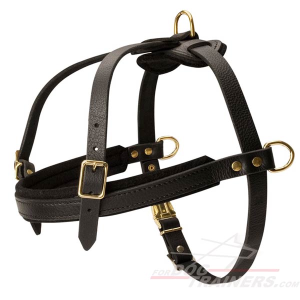 multi tasking leather padded dog harness