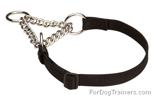 martingale dog harness