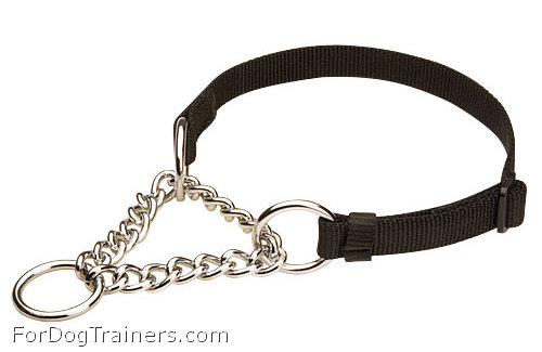 martingale pinch dog collar