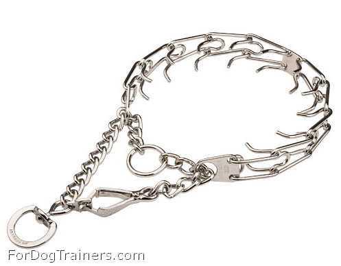 Choose Safe Prong Dog Collar, Training