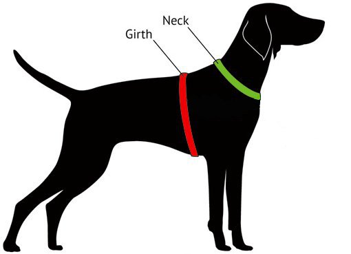 Dog Harness Sizing Diagram
