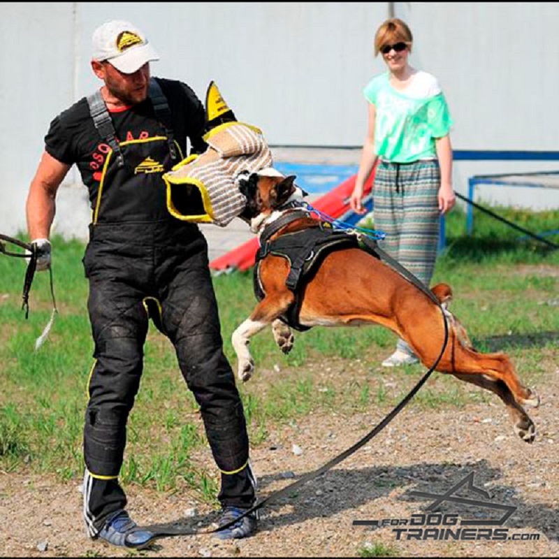 Dog training sleeve shop
