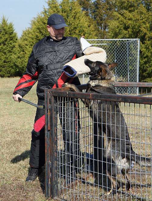 PBS4 - Protection  Scratch Suit fits Helper Jeffrey perfectly