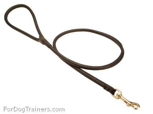 Exclusive HS Dog Leash