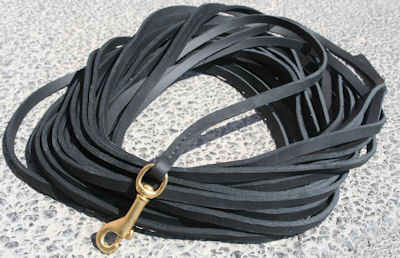 L5%20Long%20leash%20400%20x%20259_LRG.jp