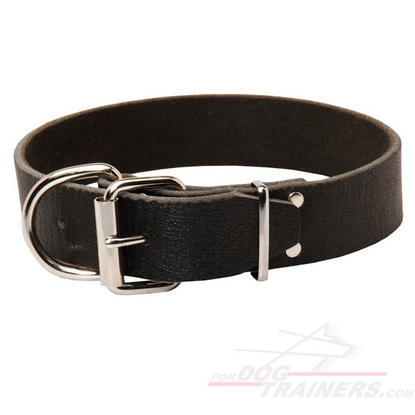 Durable Leather Dog Collar with Strong Buckle and D-ring