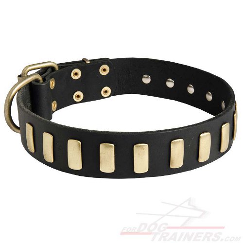 Sparkling Dog Collar