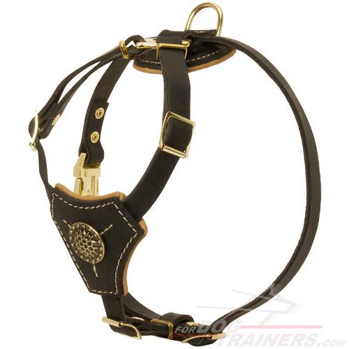 Louis Pup Leather Harness and Leash Set