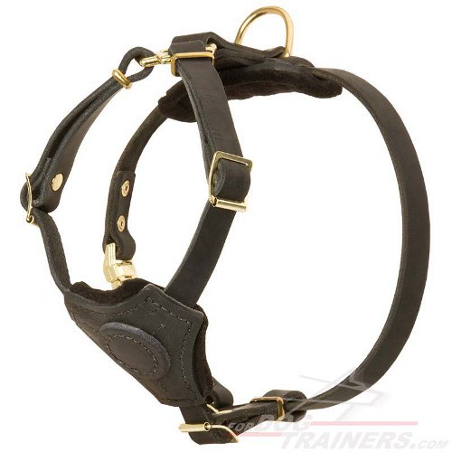 Leather dog harness