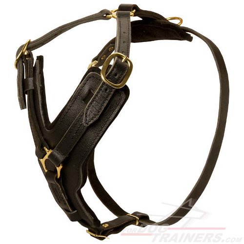 Leather dog fashion harness