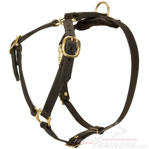 Leather dog harness