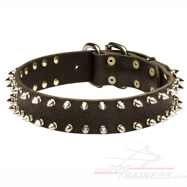 Cool Spiked Dog Collar