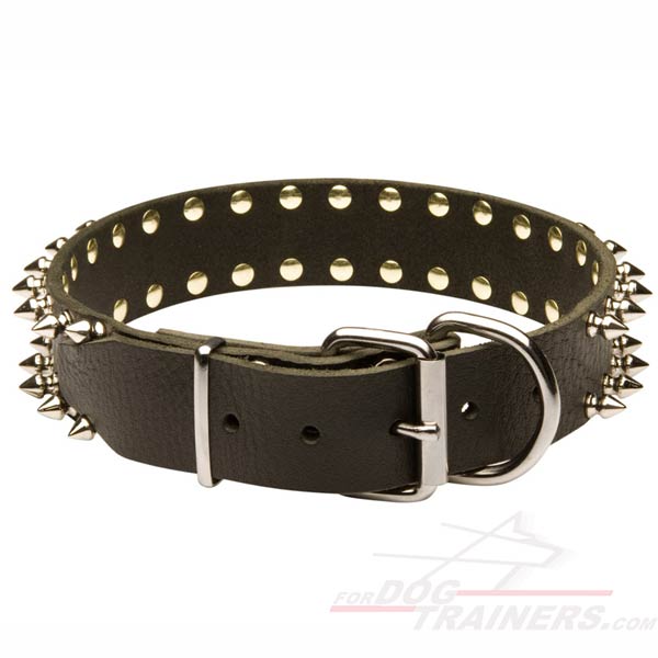 Spiked Collar will perfetly suit your dog