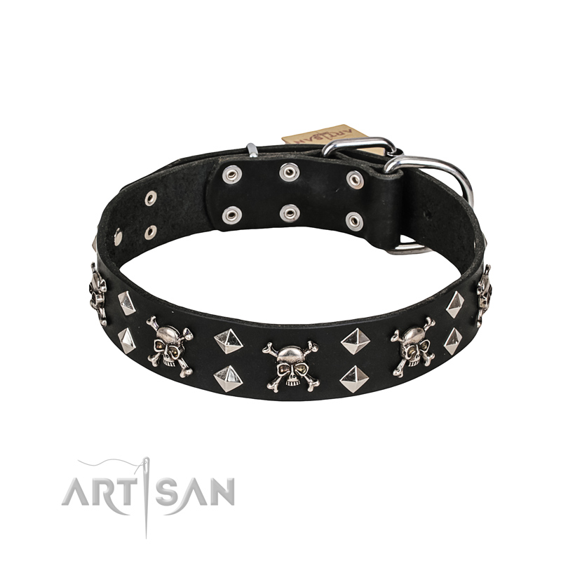 Dog Collars with Brass Hardware - ROCT Outdoor