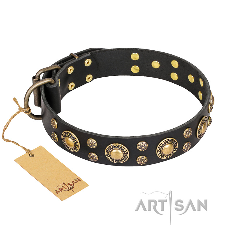 Studded Dog Collar - Unique and Stylish Dog Collar