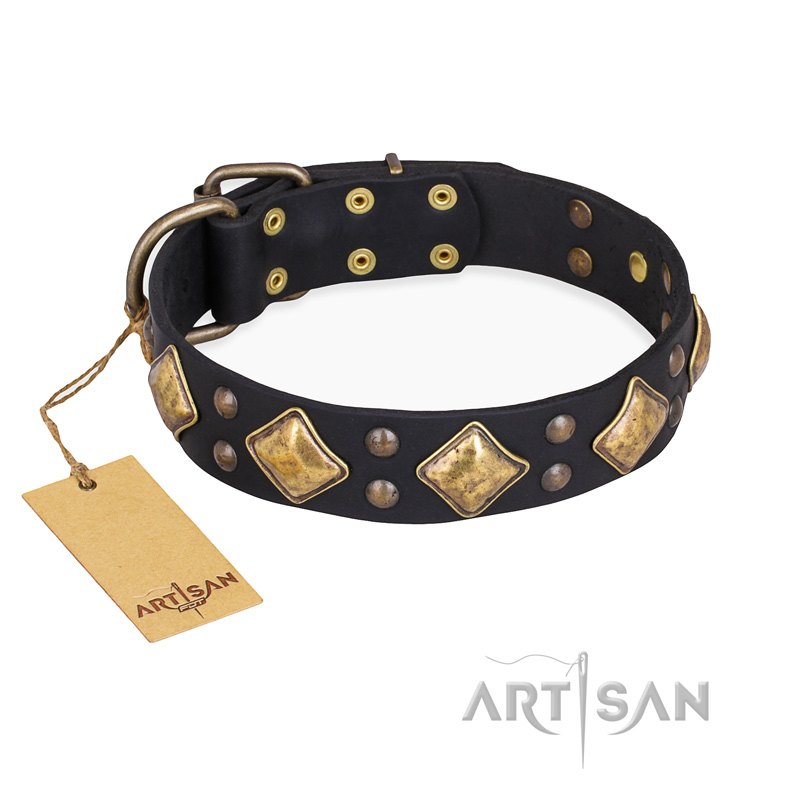 Fancy-Schmancy' FDT Artisan Studded Leather Dog Collar