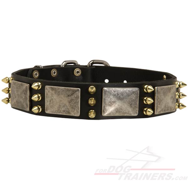 Gorgeous Leather Cane Corso Collar with Spikes and Plates