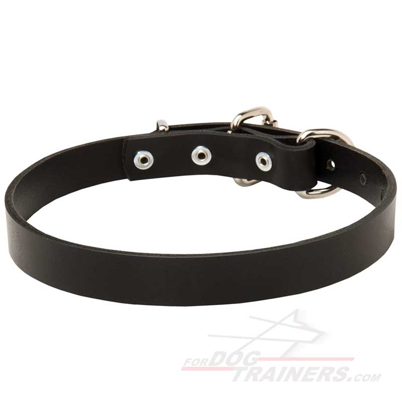 thin leather dog leash