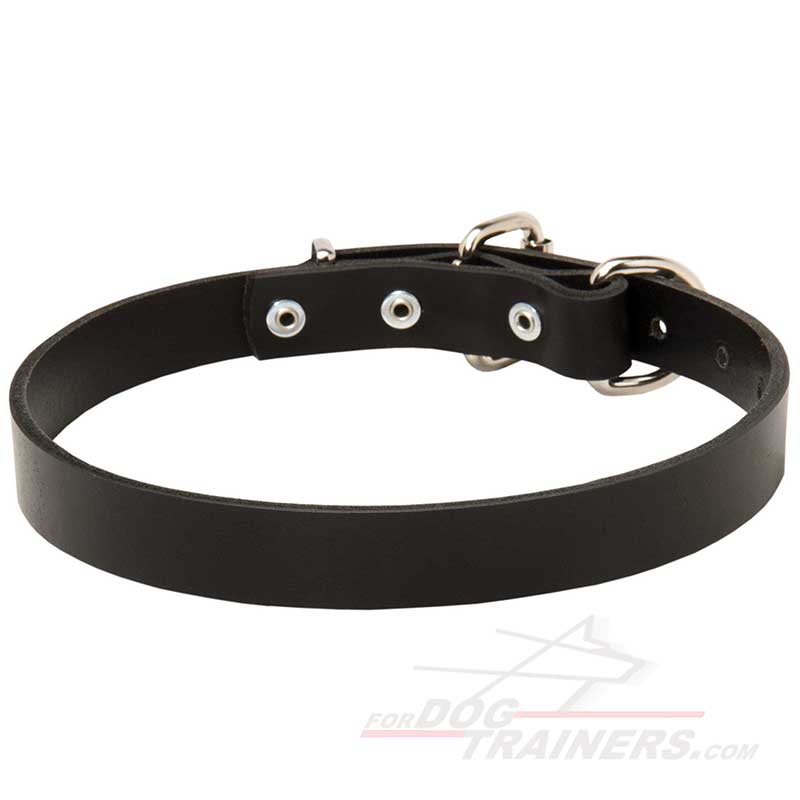 Leather Dog Collar