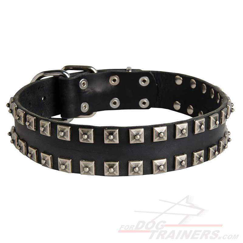 Take Fashion Dog Collar|Leather Studded Dog cCllars