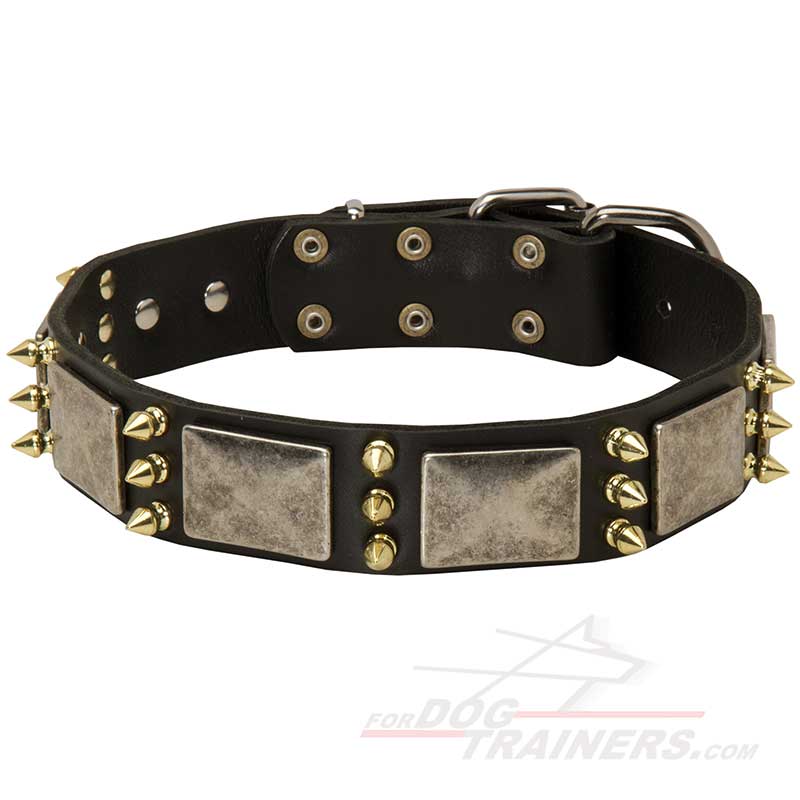 Agitation Training Leather Dog Collar