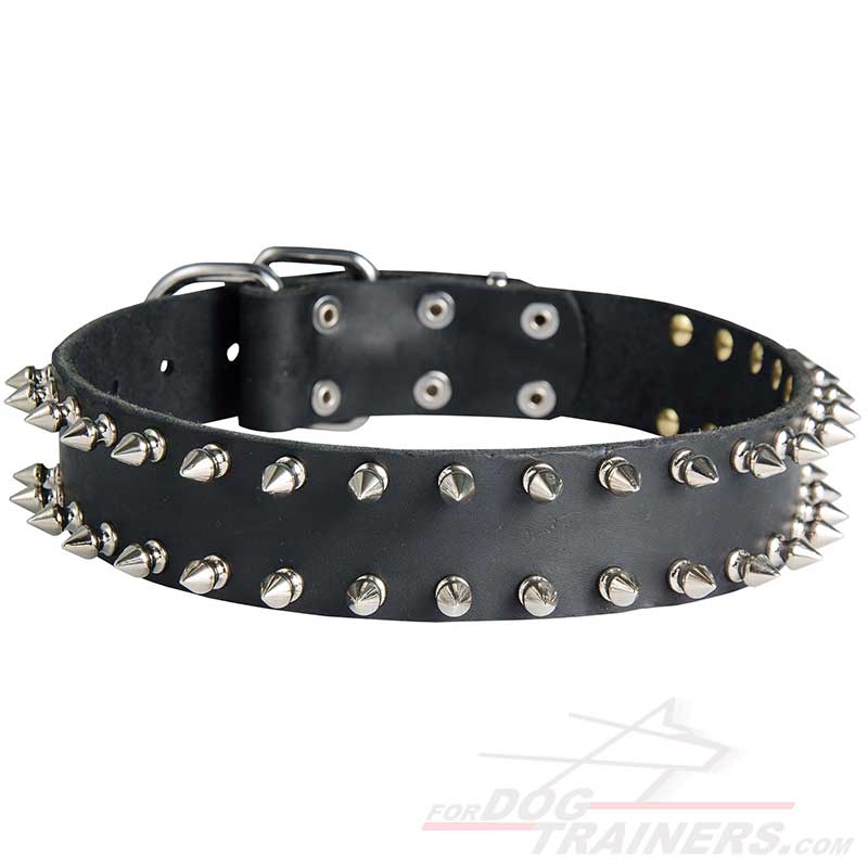 Spiked Dog Collar