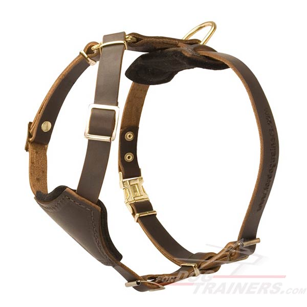 Leather Dog Harness for Walking and Training Your Puppy