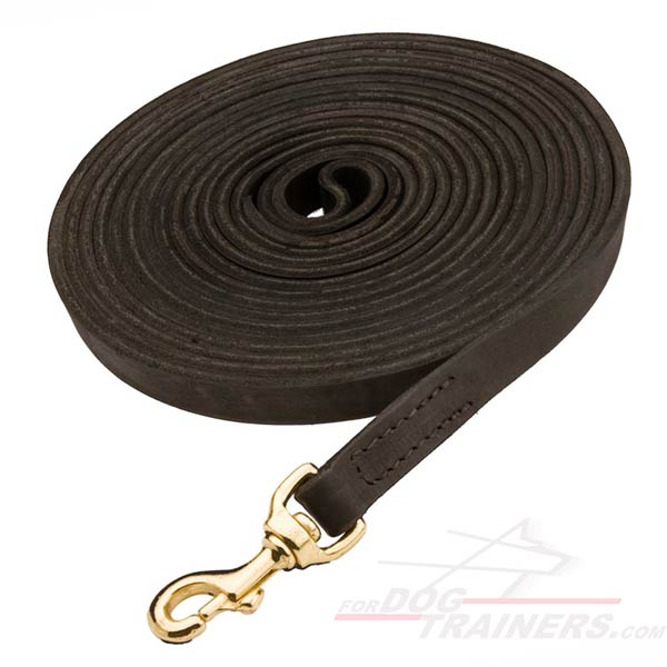 long leather dog training lead