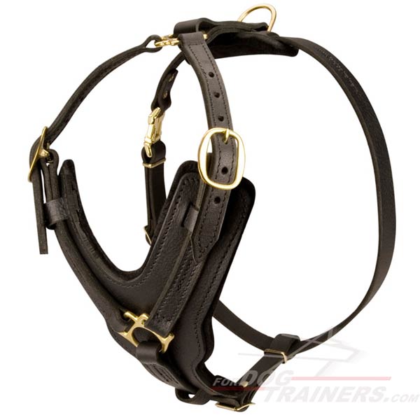 Leather dog harness