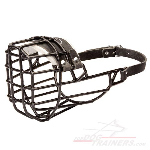 muzzle guard for dogs