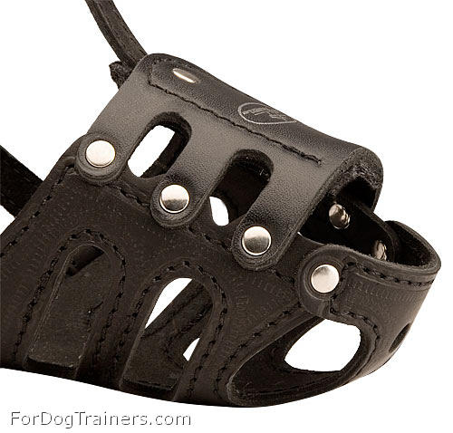 Dog Muzzle made of Leather