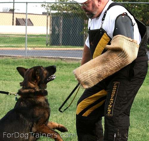 Dog bite sleeve cover ( Dog bite sleeve cuff ) with handle is favorite training equipment of many dog owners