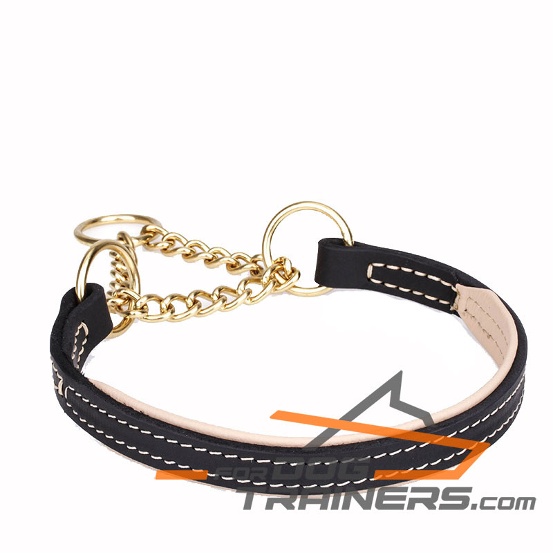 martingale dog collars with chain loop